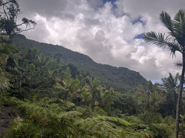 El Yunque