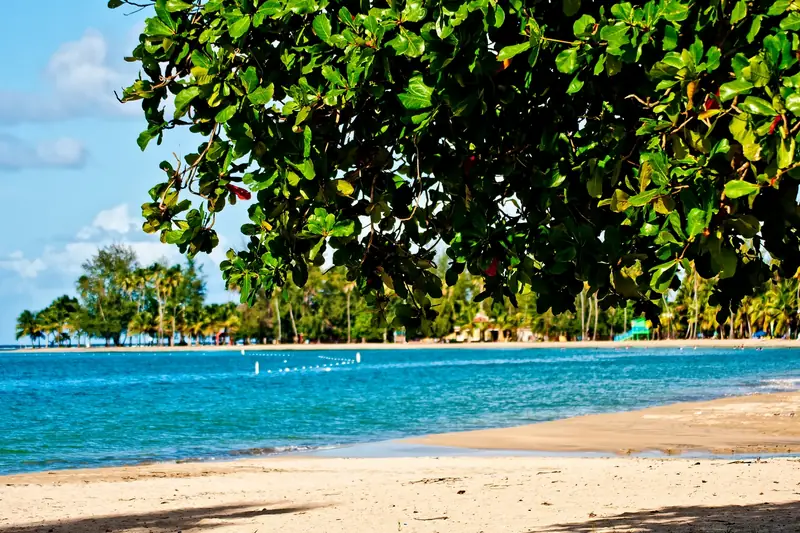 Town photo of Luquillo, not of the business