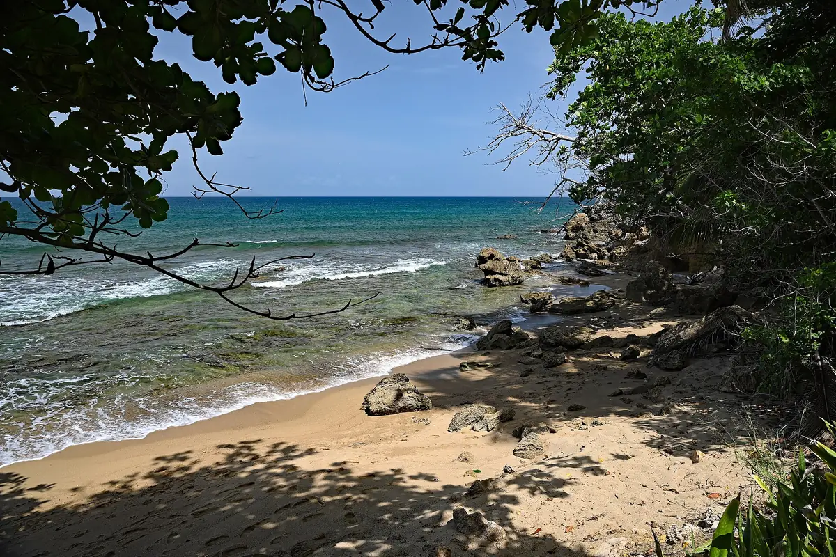 Town photo of Rincón, not of the business