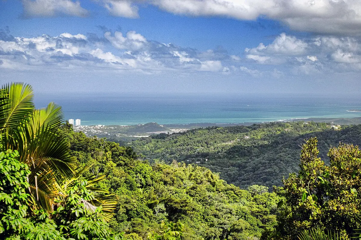Town photo of Río Grande, not of the business