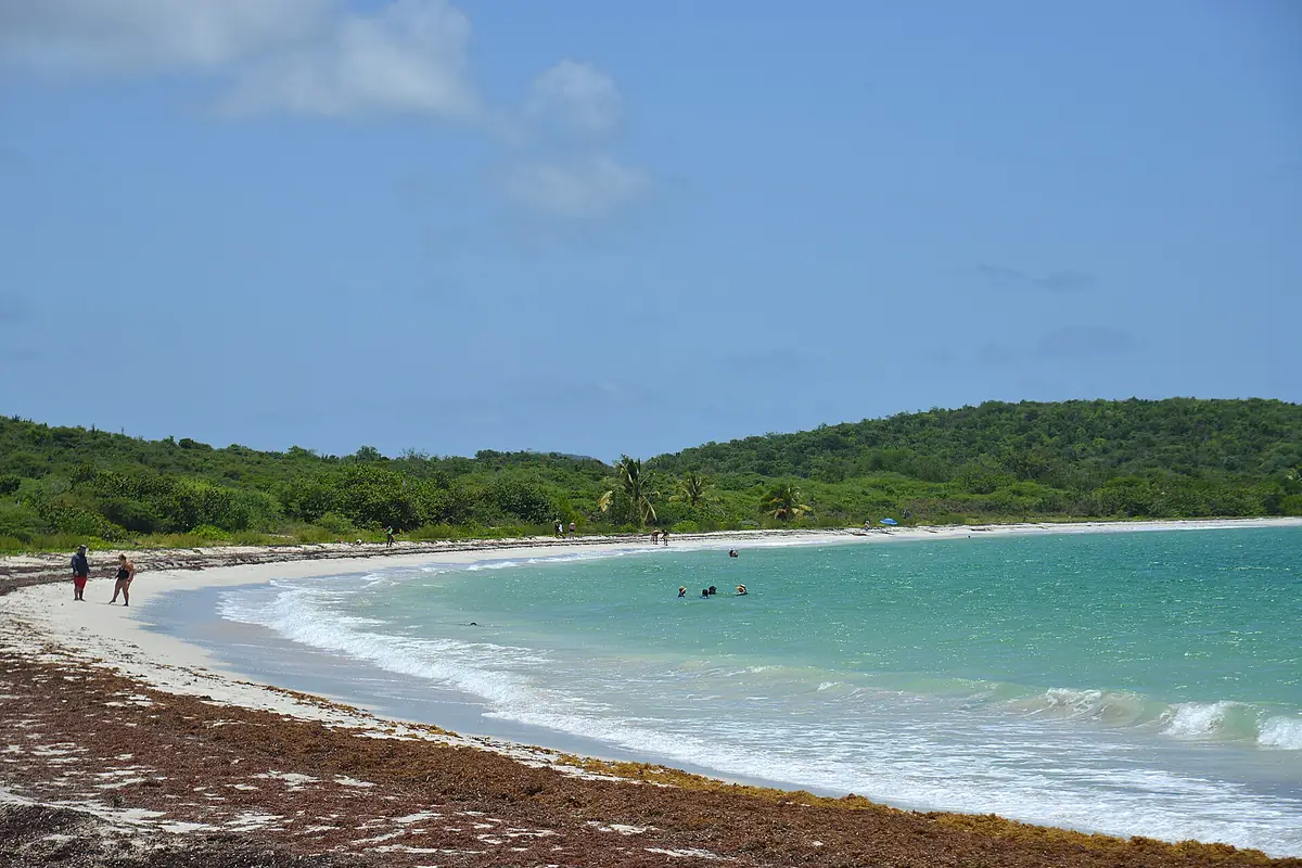 Town photo of Vieques, not of the business