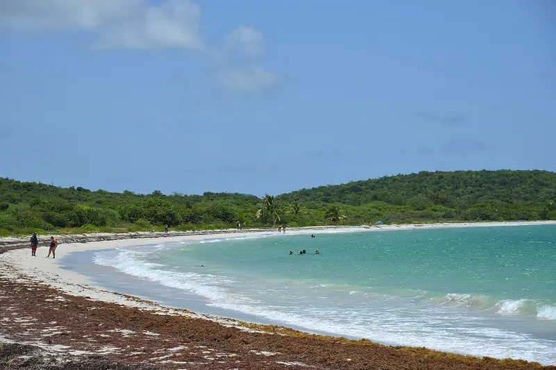 Town photo of Vieques, not of the business