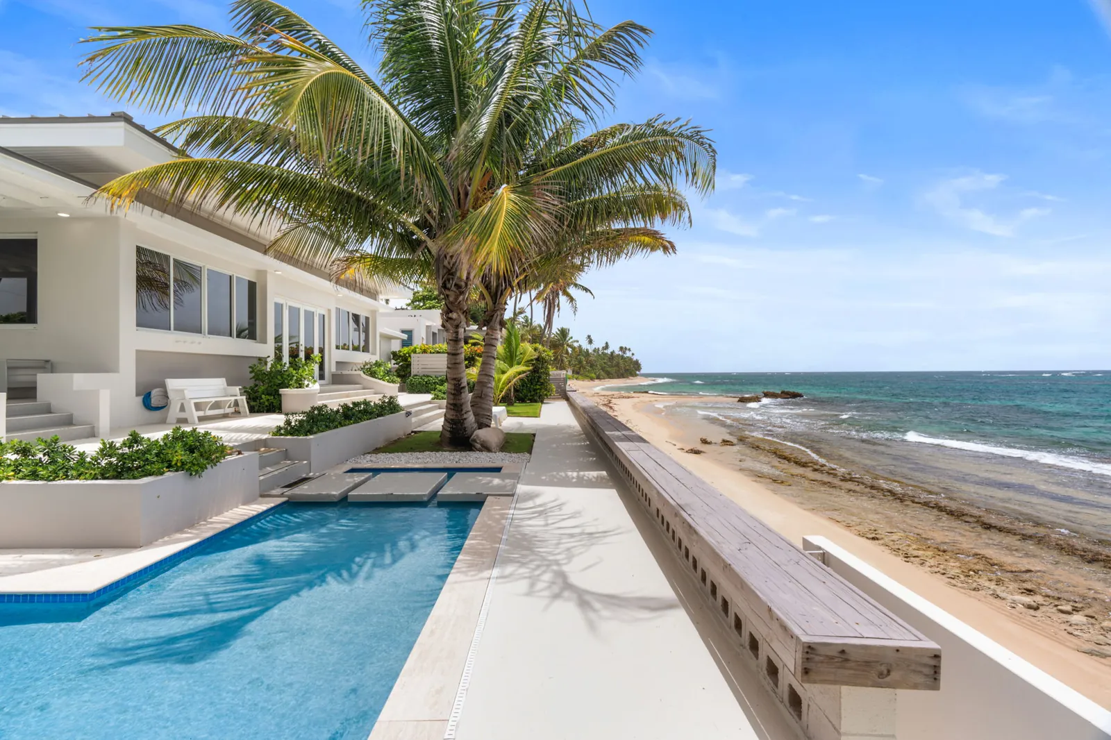 Beachfront pool lined with palm trees beside a contemporary house