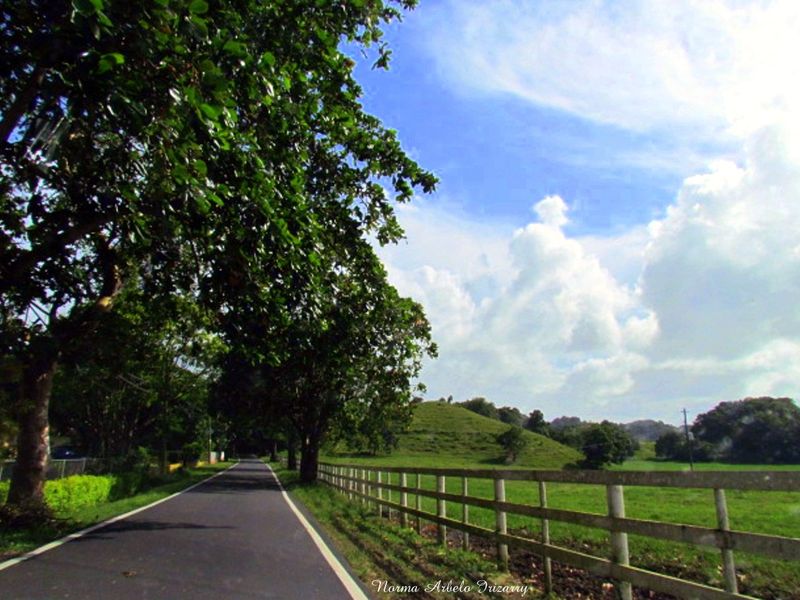 Road and scenery in Barrio Zanja, path toward Abra Honda, Camuy, Puerto Rico