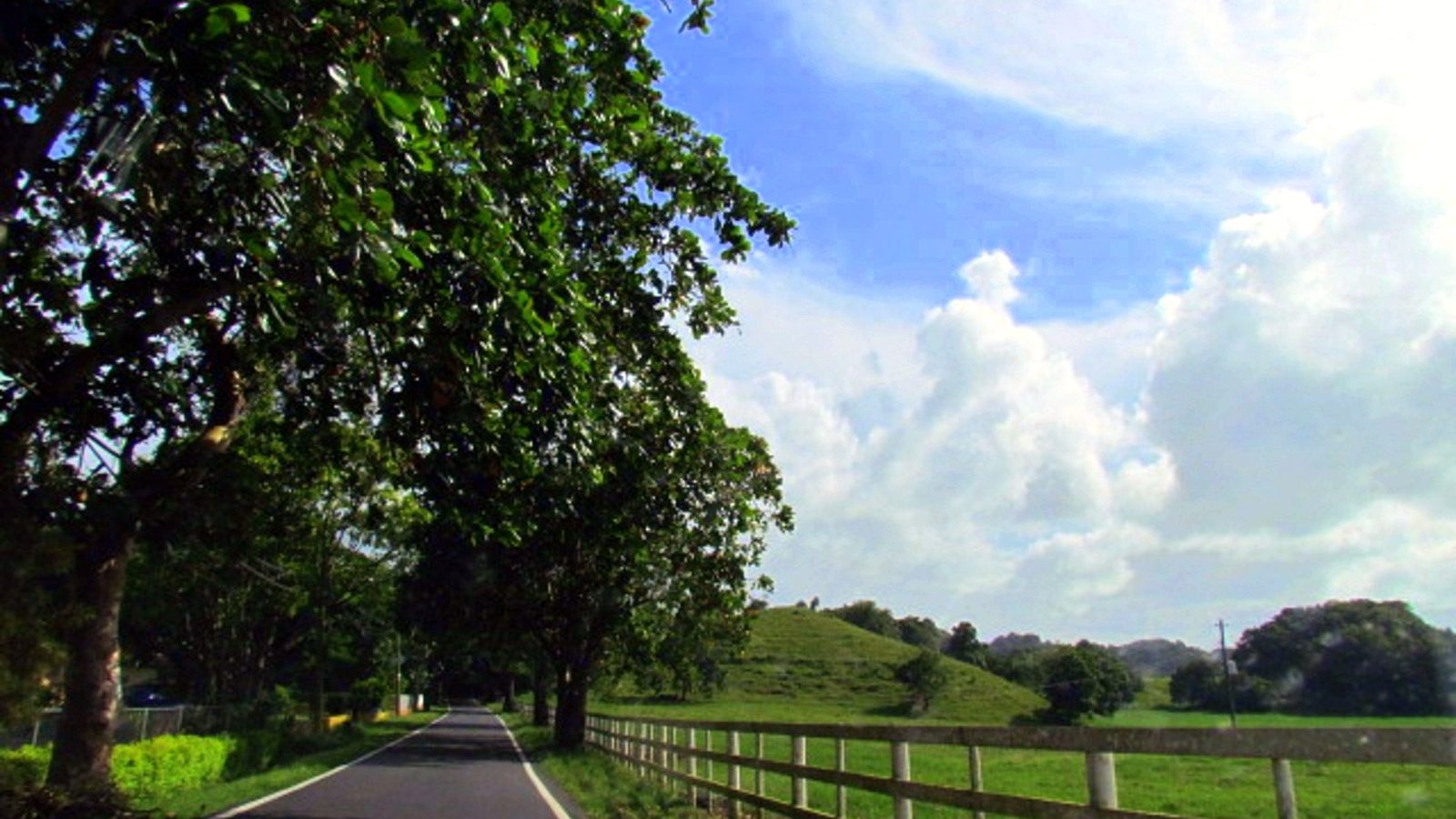 Road and scenery in Barrio Zanja, path toward Abra Honda, Camuy, Puerto Rico