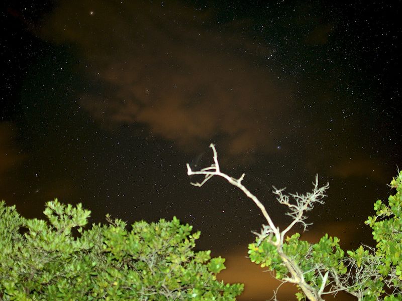 Night view of bioluminescent Mosquito Bay in Vieques, Puerto Rico