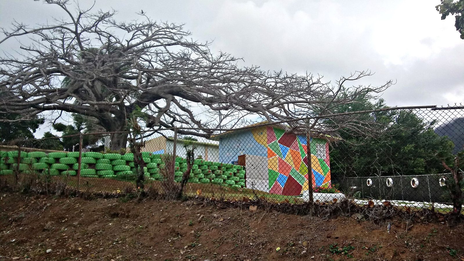 Colorful elementary school building in Algarrobo, Guayama, Puerto Rico