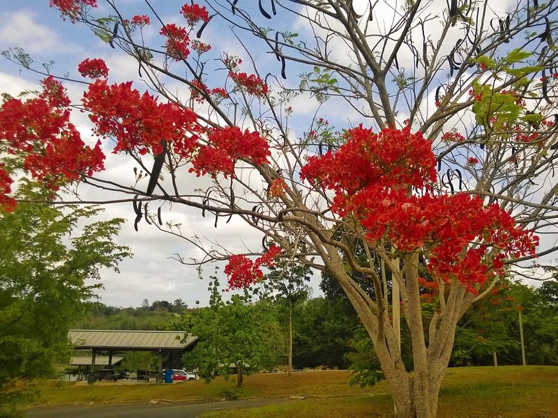 Wildlife refuge at La Plata Reservoir in Toa Alta, Puerto Rico