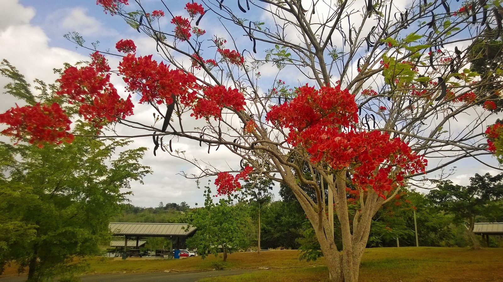 Wildlife refuge at La Plata Reservoir in Toa Alta, Puerto Rico