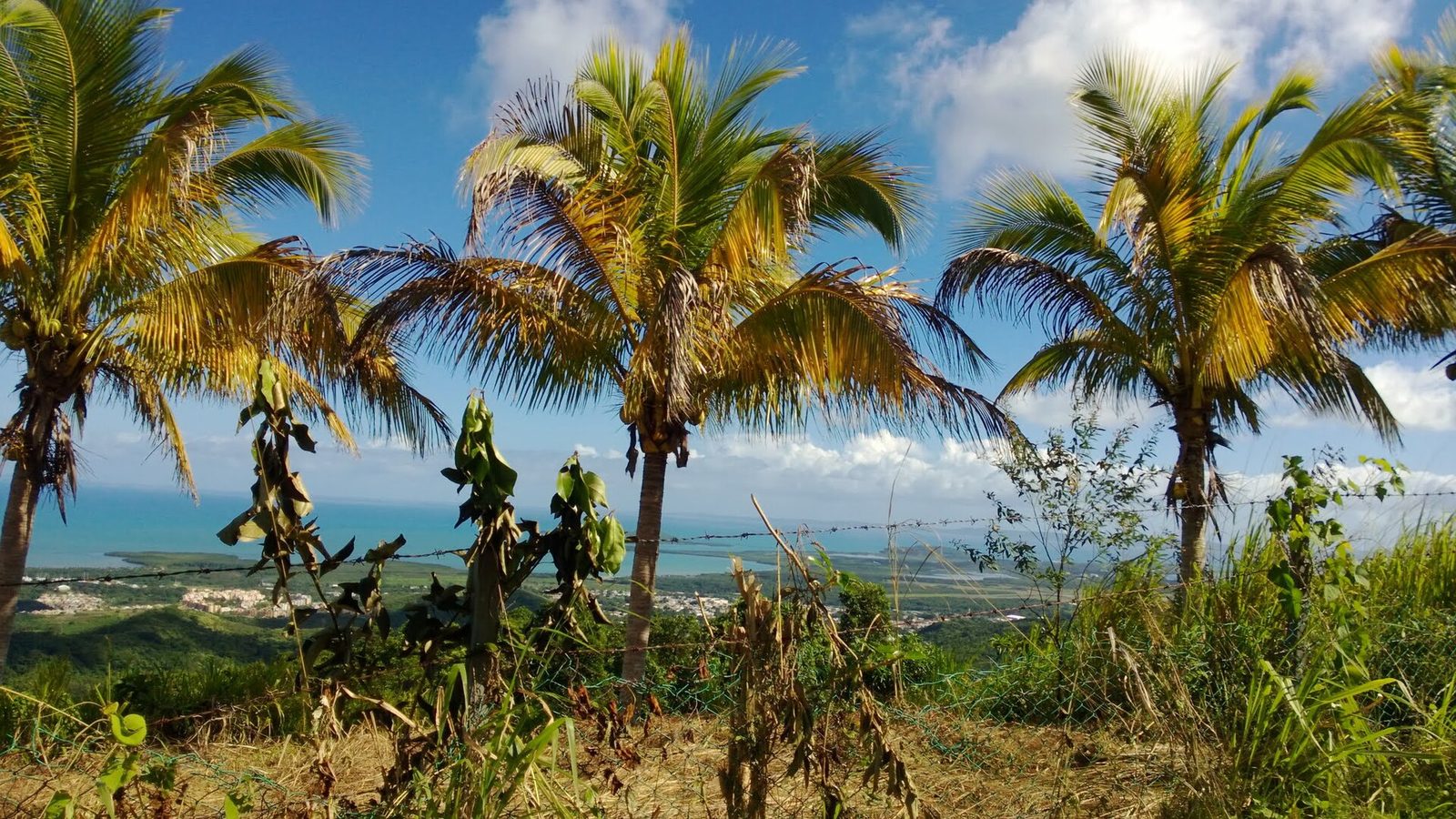 View of Machos in Ceiba, Puerto Rico