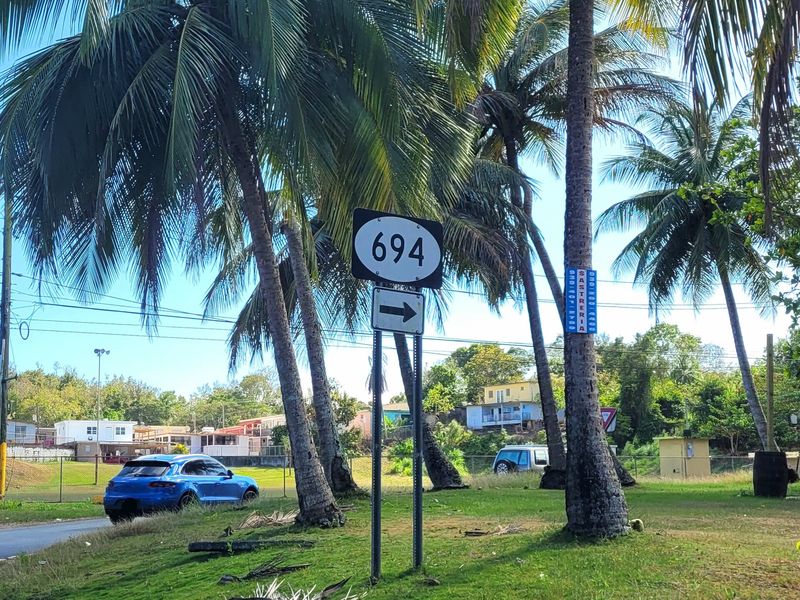 Carretera PR-694 in Dorado, Puerto Rico