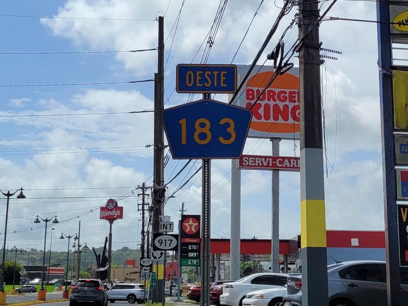 Carretera PR-183 in Las Piedras, Puerto Rico