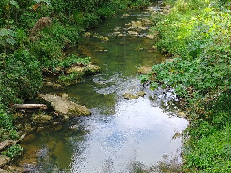 Río Indio river in the Río Arriba sector of Vega Baja, Puerto Rico