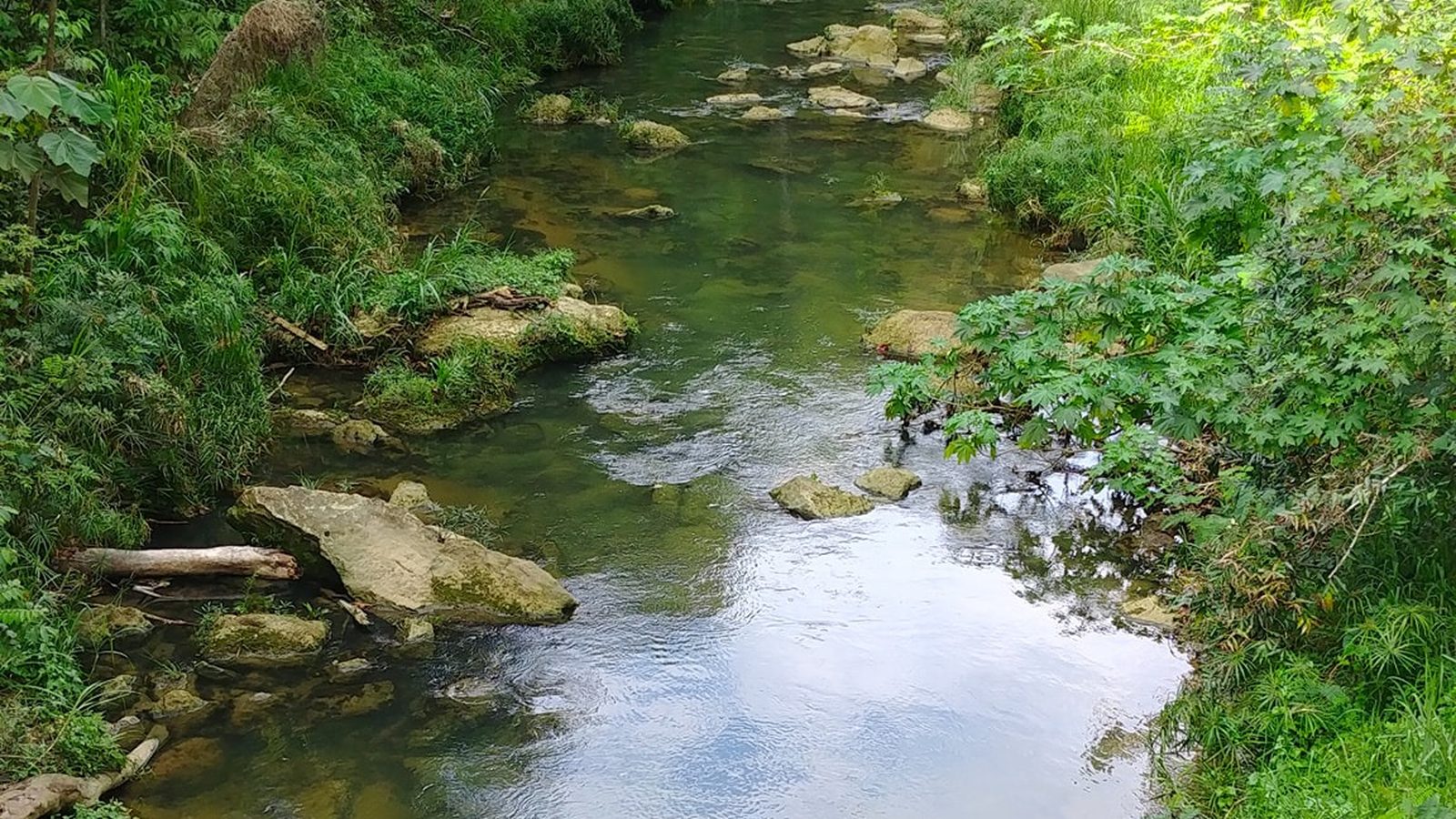 Río Indio river in the Río Arriba sector of Vega Baja, Puerto Rico