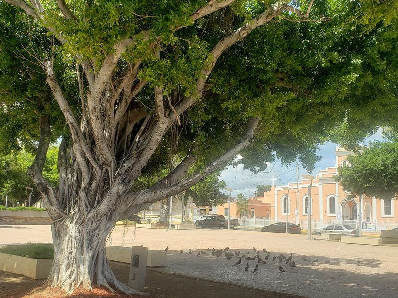 Plaza in Salinas, Puerto Rico