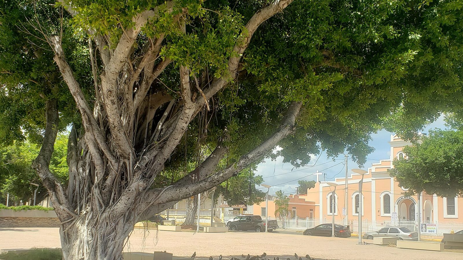 Plaza in Salinas, Puerto Rico