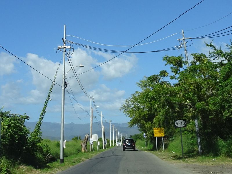 Utility poles and power lines along road PR-5510, Ponce