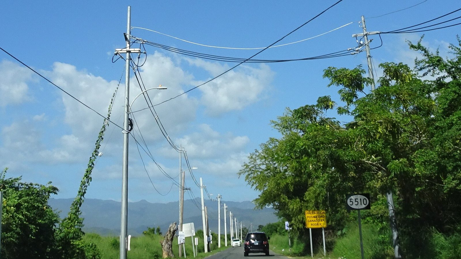 Utility poles and power lines along road PR-5510, Ponce