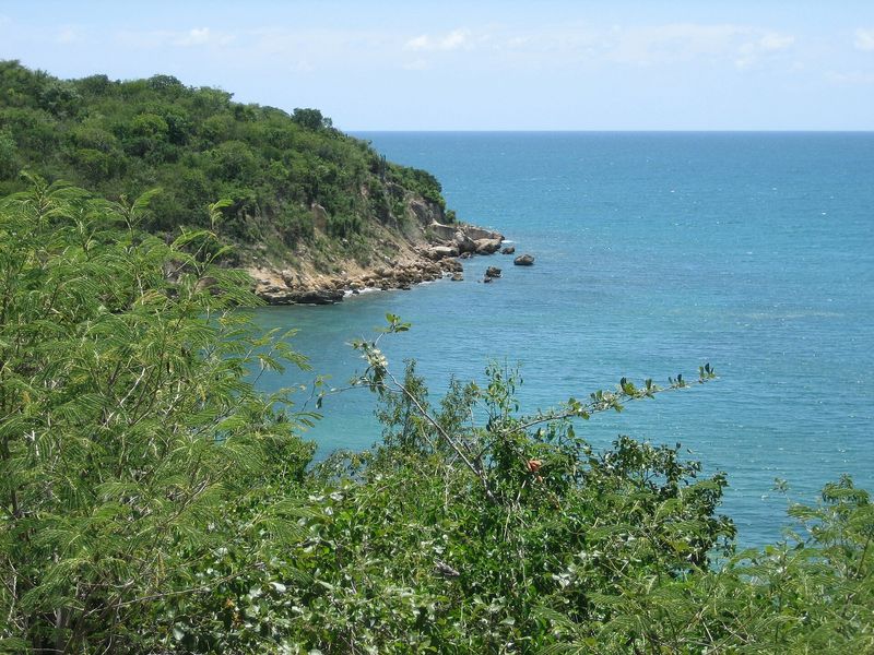 Coastline in the Guánica State Forest