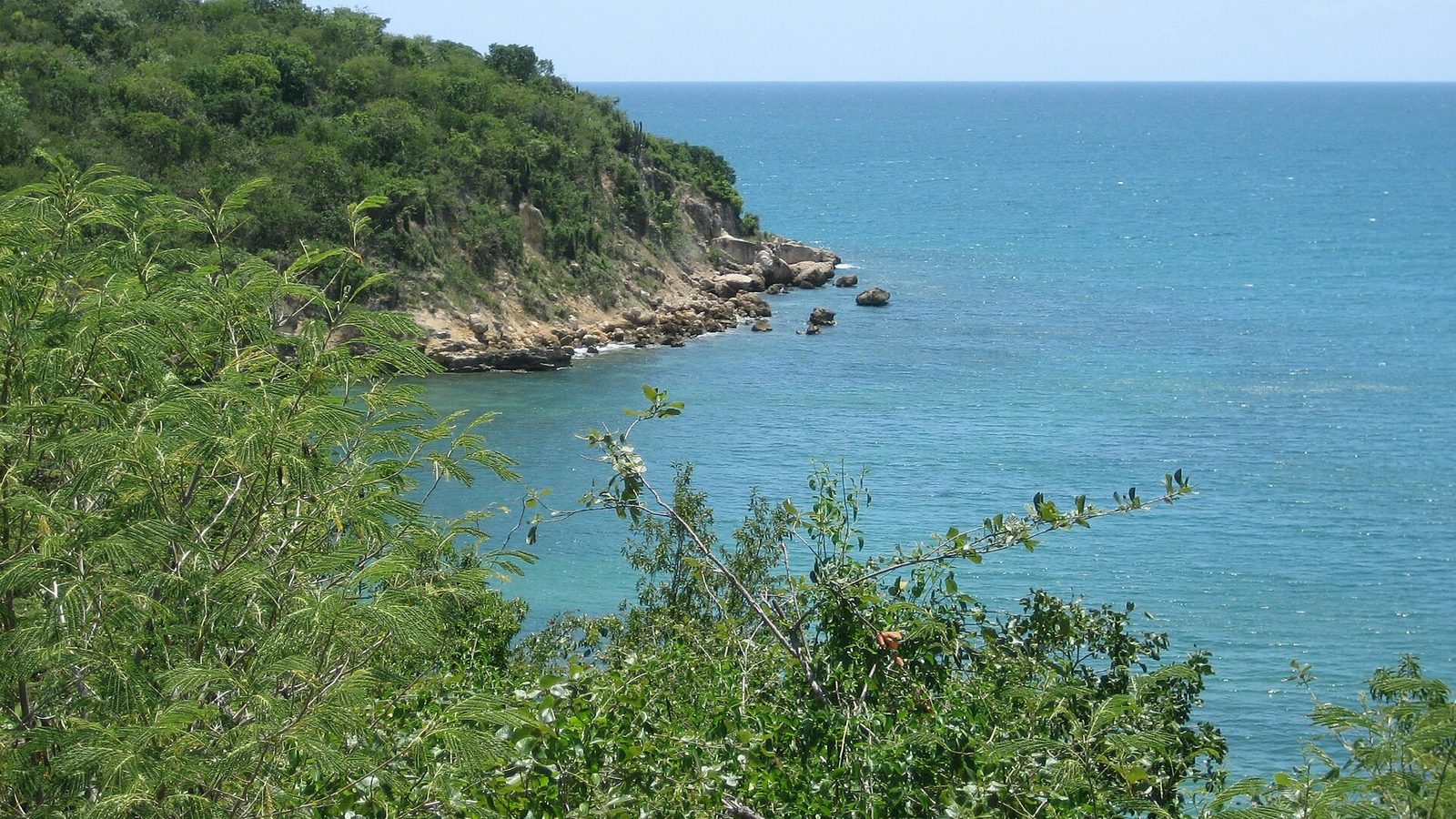 Coastline in the Guánica State Forest