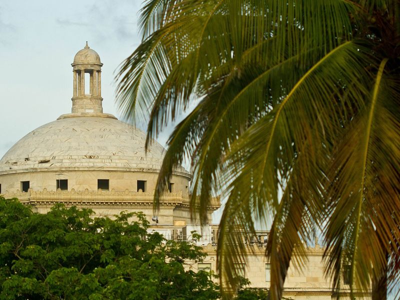 The dome of the Capitol of Puerto Rico seen through palm fronds, San Juan