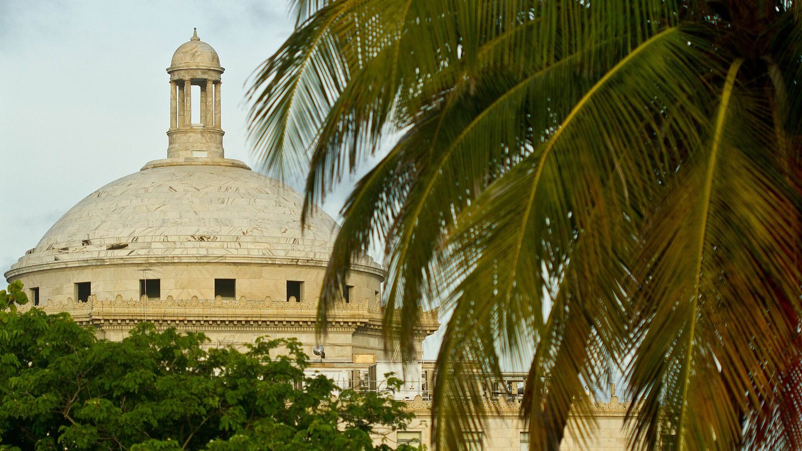 The dome of the Capitol of Puerto Rico seen through palm fronds, San Juan
