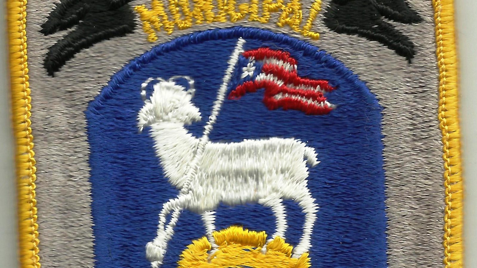 San Juan Municipal Police patch