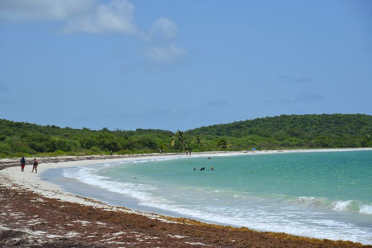 Vieques