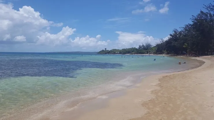 imagen de Caña Gorda