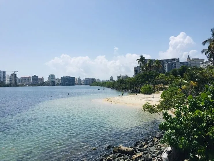 imagen de la laguna del Condado