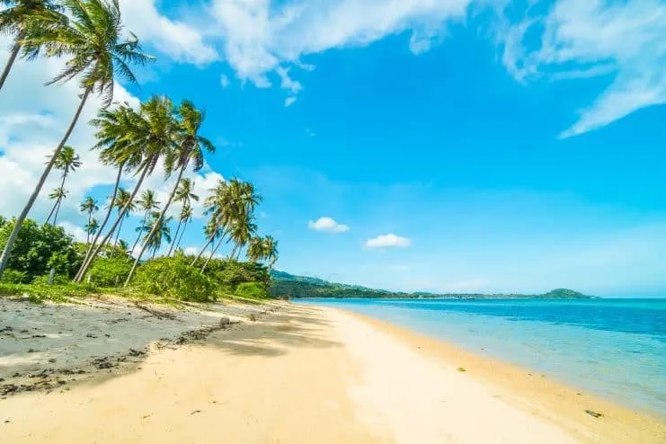 imagen de la playa Flamenco