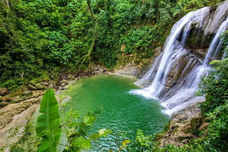 imagen de la Cascada Gozalandia
