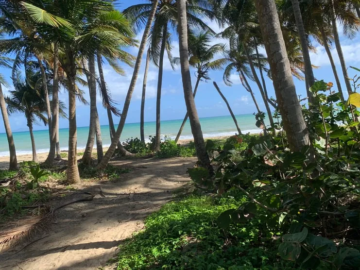 image of bike trail by beach in Humacao Nature