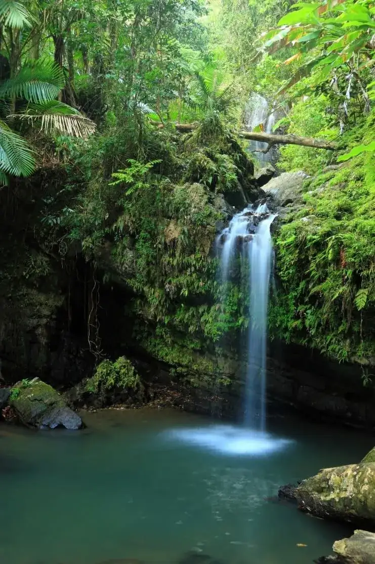 imagen de las Cataratas Juan Diego