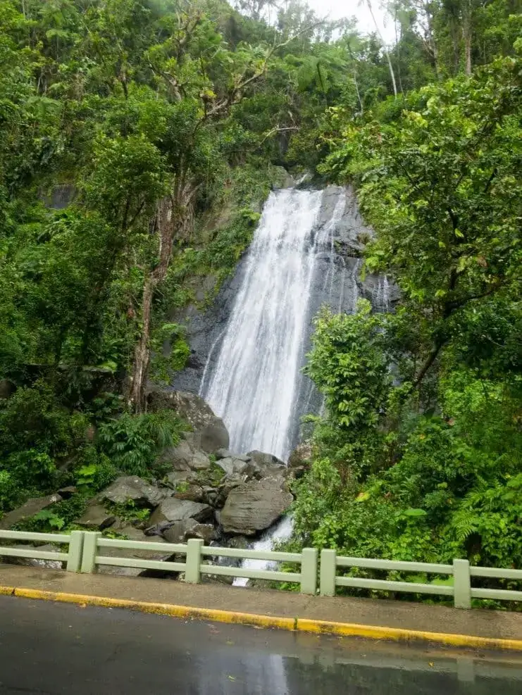 imagen de las Cataratas La Coca