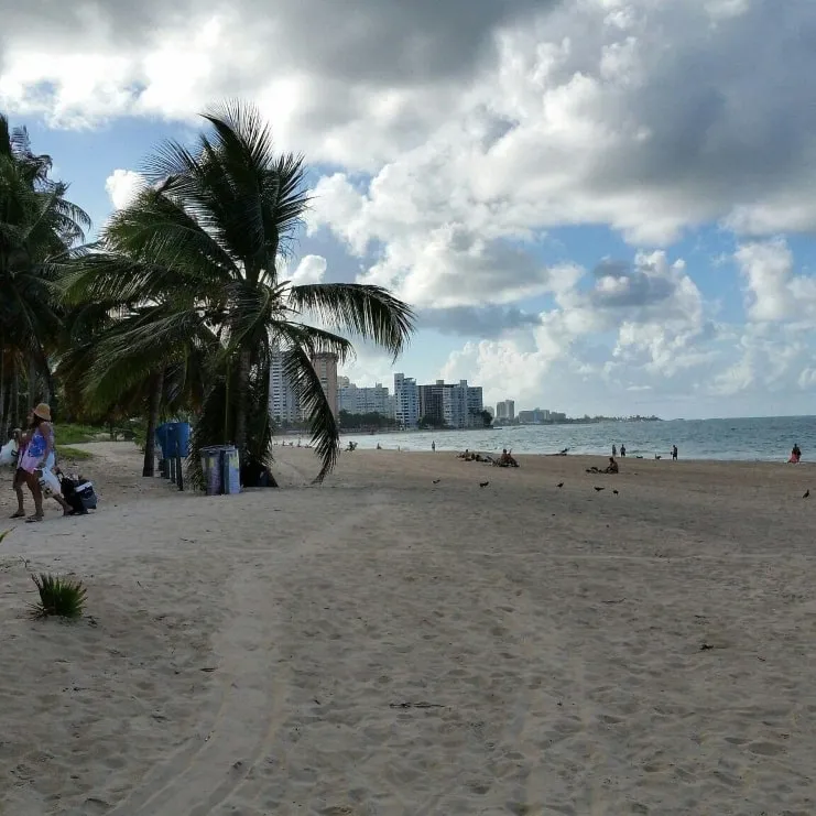 imagen de Ocean Park Beach