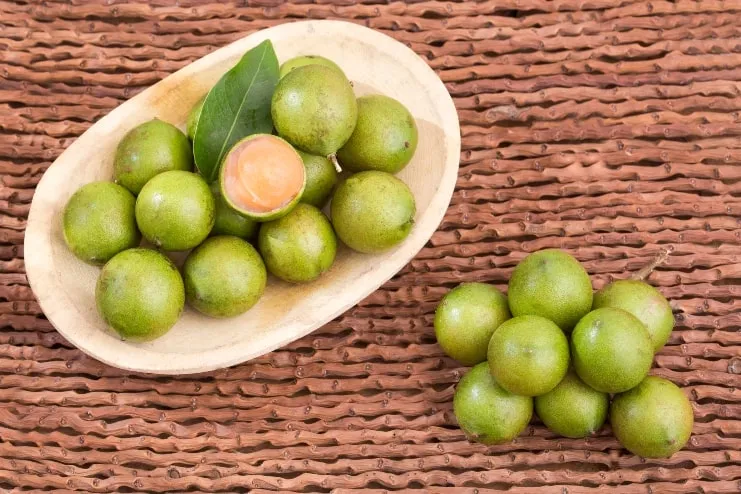 imagen de quenepas