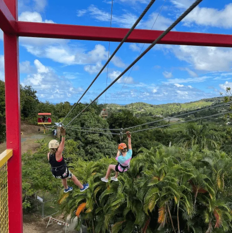Tirolesa de Rainforest Zipline en Río Grande