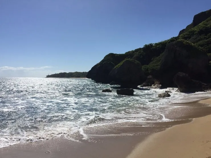 imagen de Survival beach