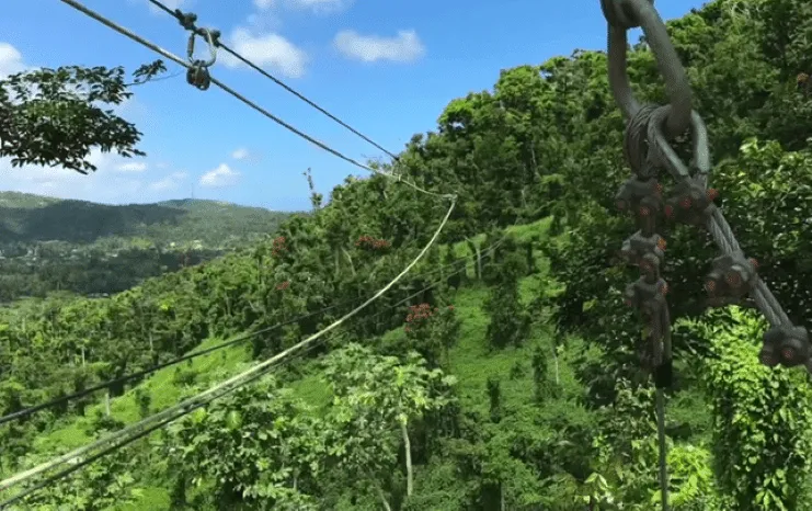 Vista desde la tirolesa de Yunque Zip Lining en Luquillo