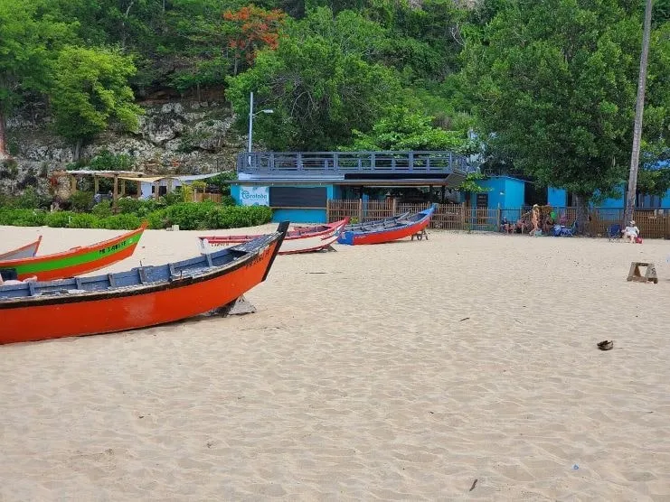 imagen de botes en la playa