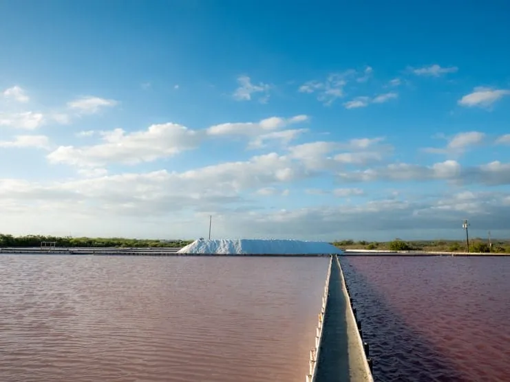 imagen de aguas divididas