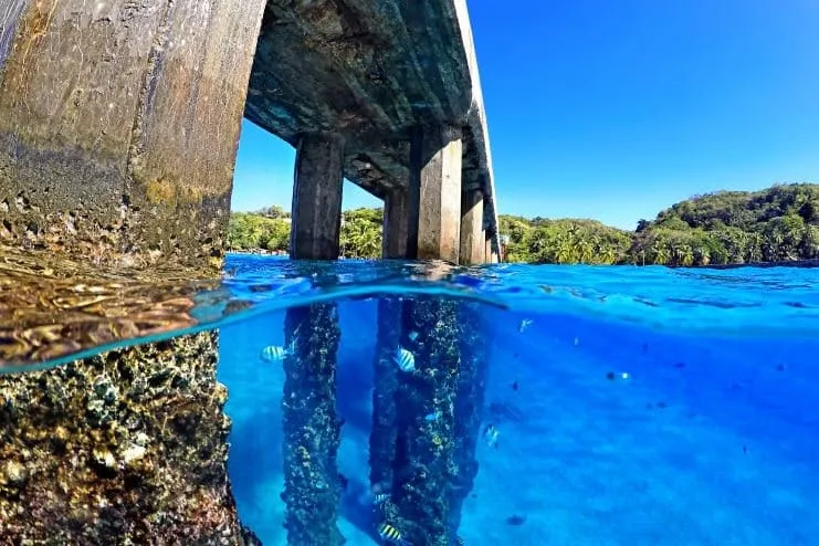 imagen de una vista submarina