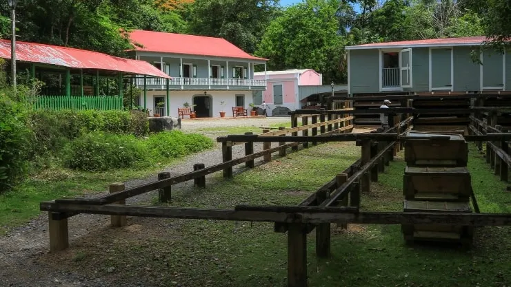 imagen de la Hacienda Buena Vista