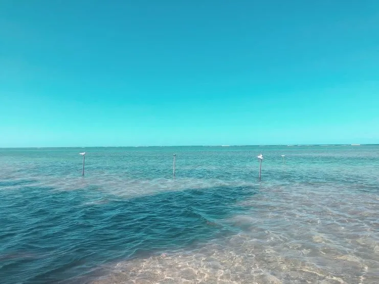 Agua transparente en la playa de Luquillo