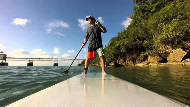 image of a paddle boarder