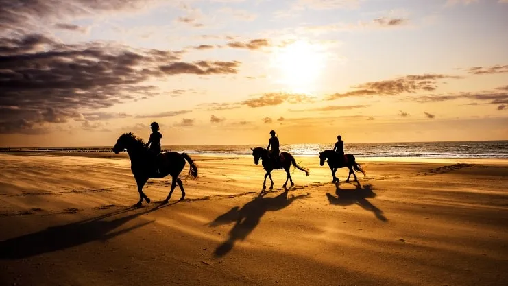 image of Riding Horses at the Beach