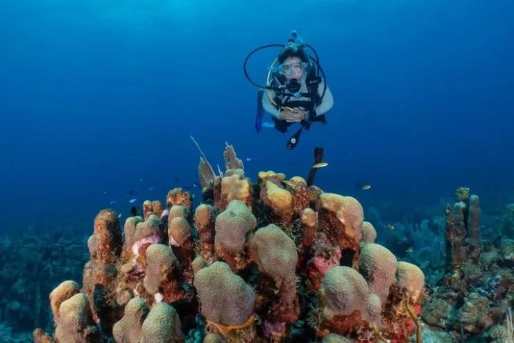image a woman doing scuba diving