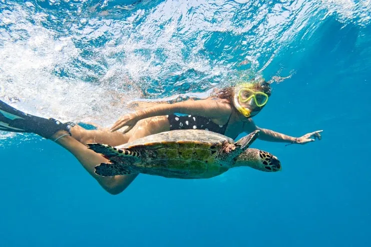 Persona con tortuga marina