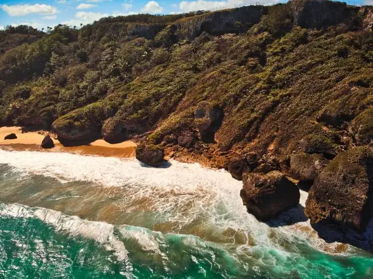 Survival Beach